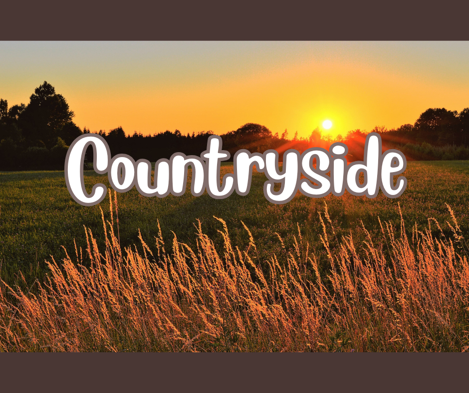 Countryside Wax Sprinkles